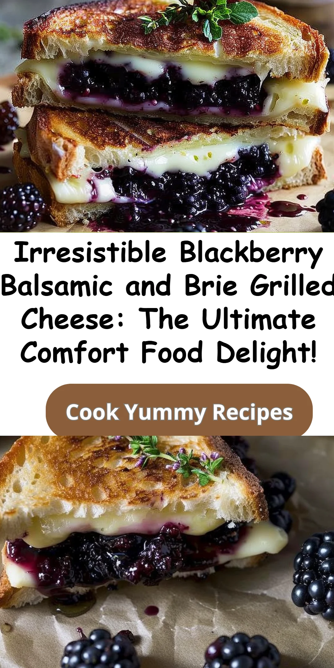 Blackberry Balsamic Brie Grilled Cheese Recipe