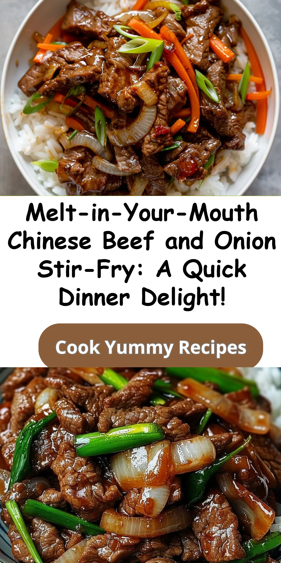 Chinese Beef and Onion Stir-Fry