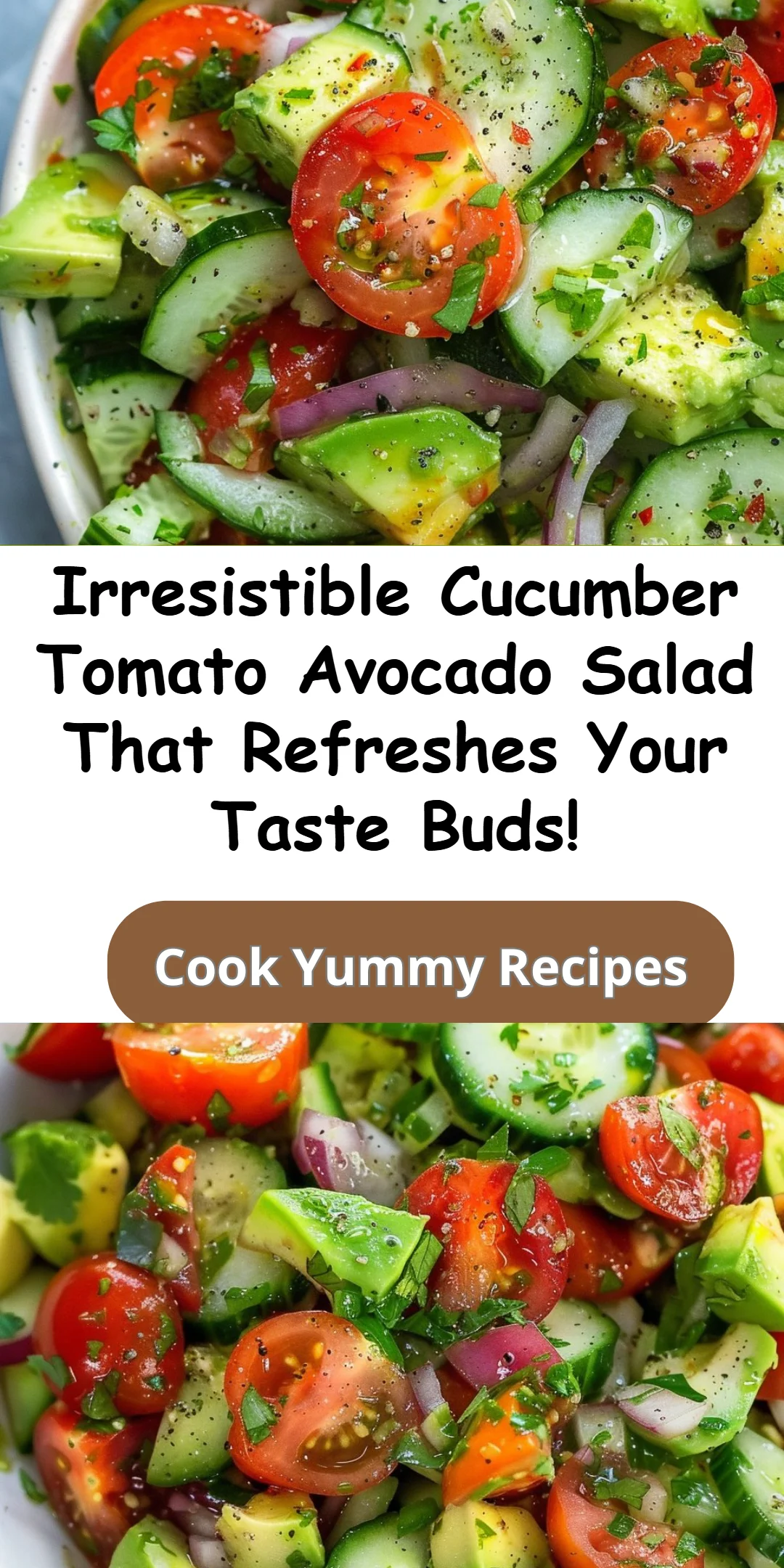 Cucumber Tomato Avocado Salad
